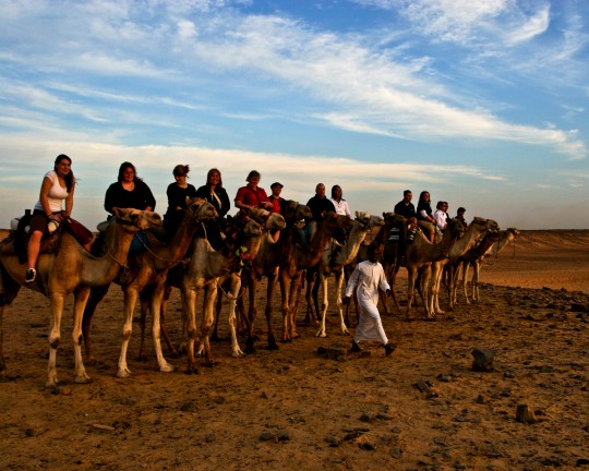 Aswan Tourists on Camel Back