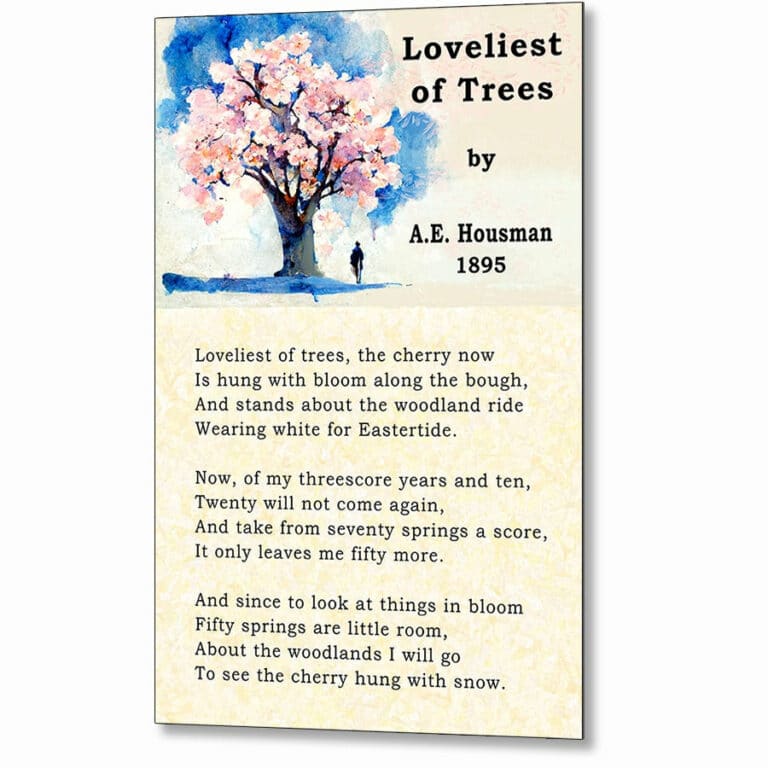 A.E. Housman – Loveliest of Trees Poem Metal Print