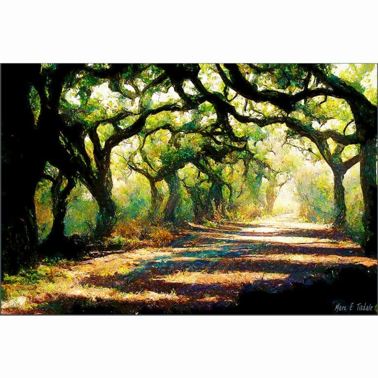 A Forest Path – Georgia Landscape Art Print