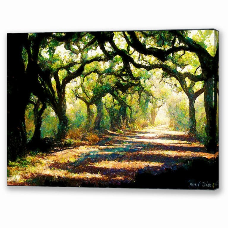 A Forest Path – Georgia Landscape Canvas Print