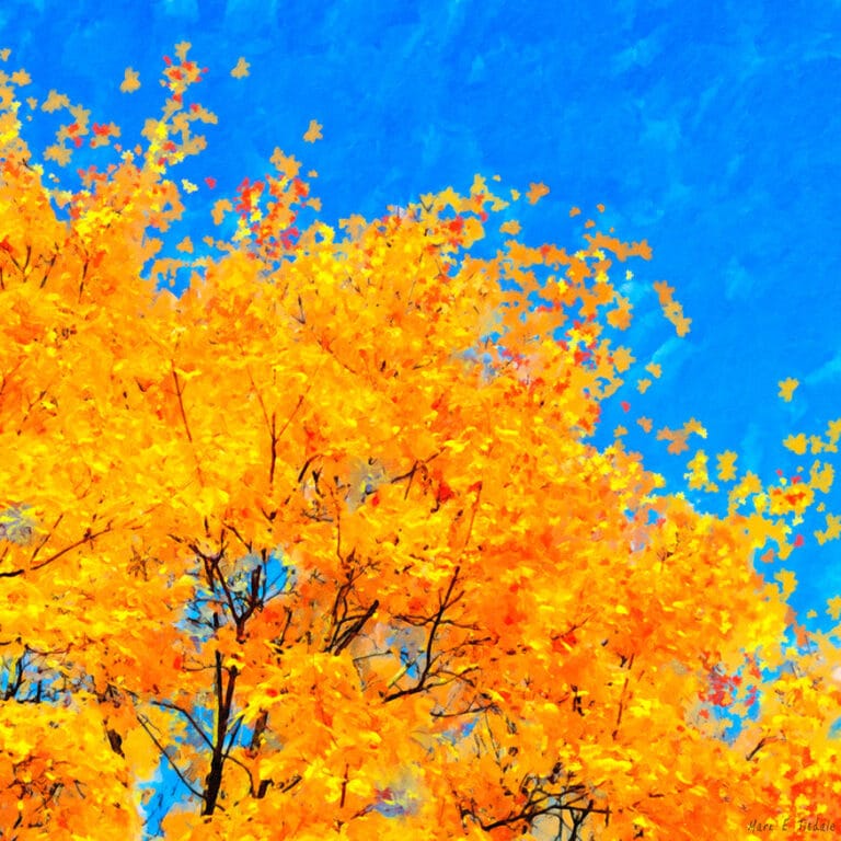 Colorful Abstract – Fall Leaves Art Print