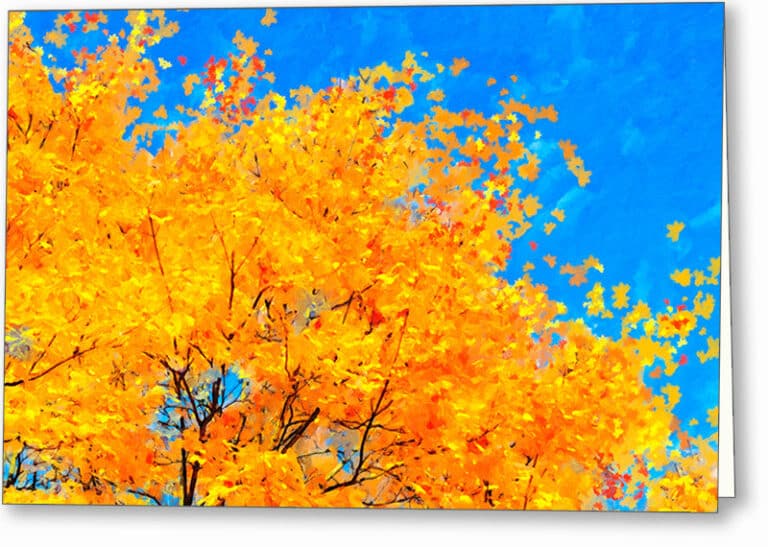 Colorful Abstract – Fall Leaves Greeting Card