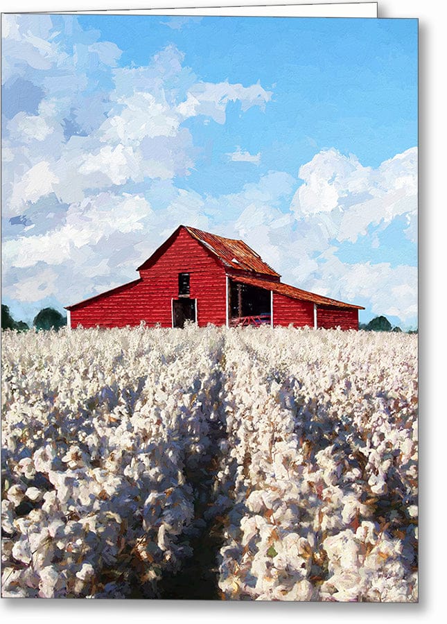 Cotton Ready For Harvest – Georgia Greeting Card