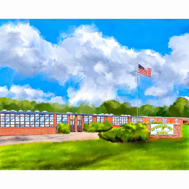 D.F. Douglass High School – Montezuma Georgia Art Print