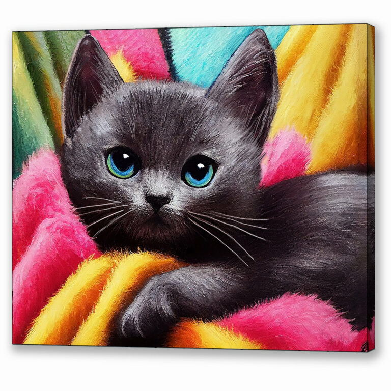 Dark Grey Kitten – Cute Cat Canvas Print