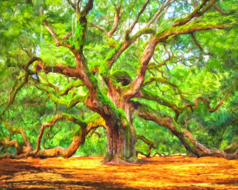 Enduring Angel Oak – South Carolina Landscape Art Print