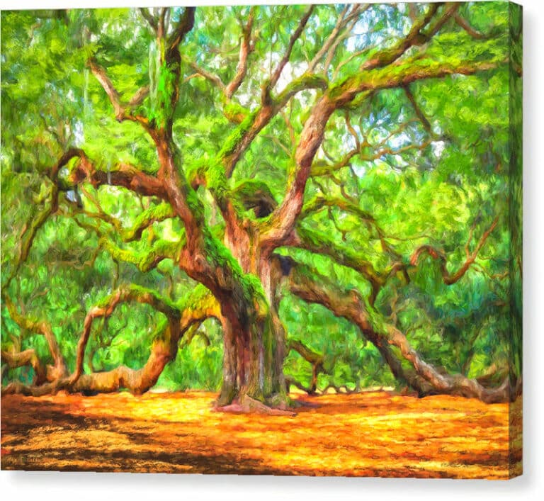 Enduring Angel Oak – South Carolina Landscape Canvas Print