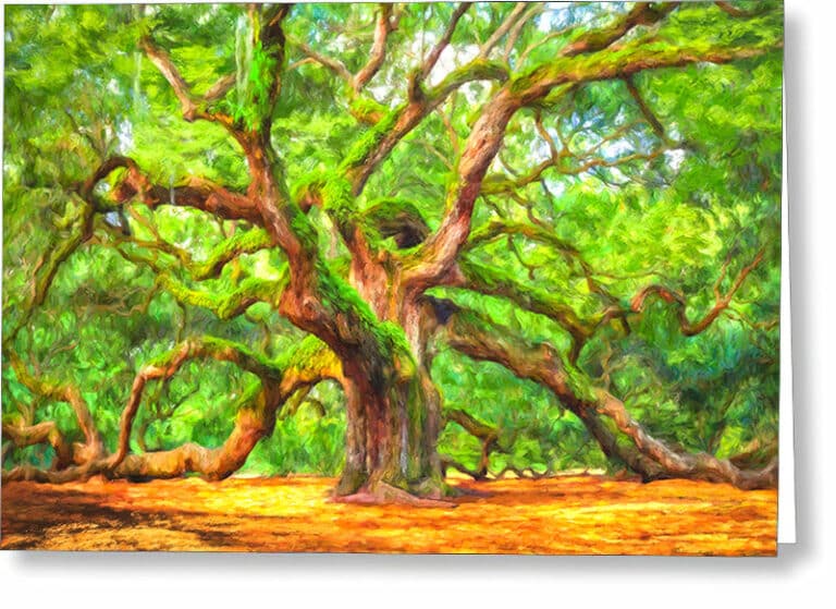 Enduring Angel Oak – South Carolina Landscape Greeting Card