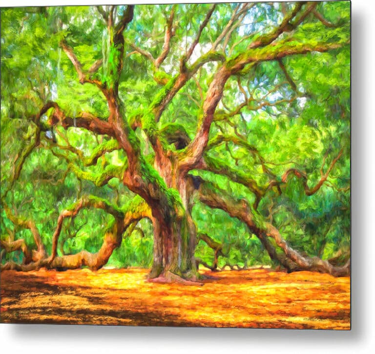 Enduring Angel Oak – South Carolina Landscape Metal Print