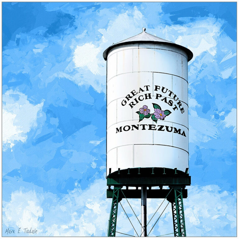 Montezuma Water Tower – Georgia Art Print