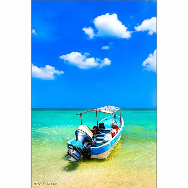 Tropical Boat On The Water – Gulf of Mexico Art Print