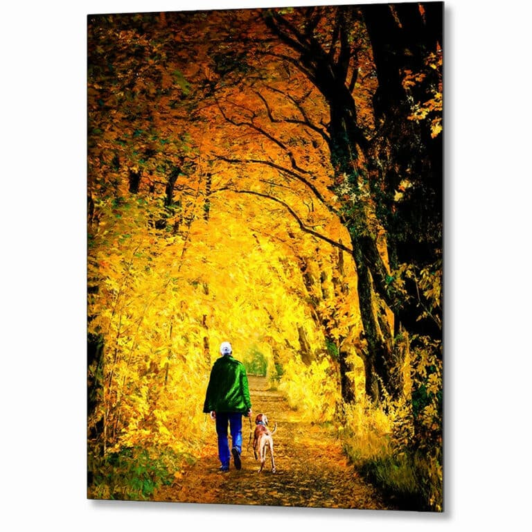 Walking The Dog – Autumn Metal Print