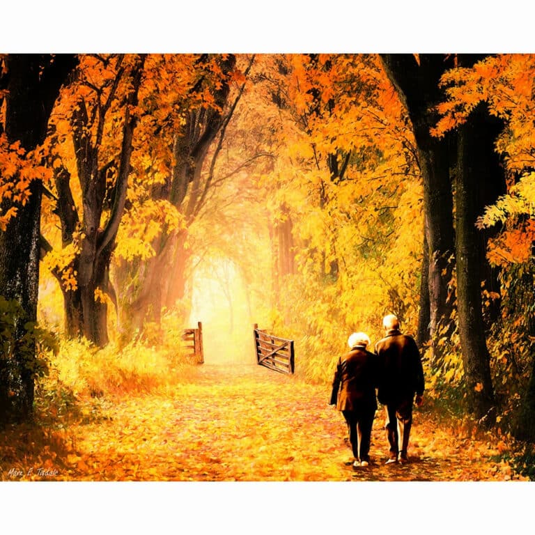 Woodland Path – Fall Foliage Art Print