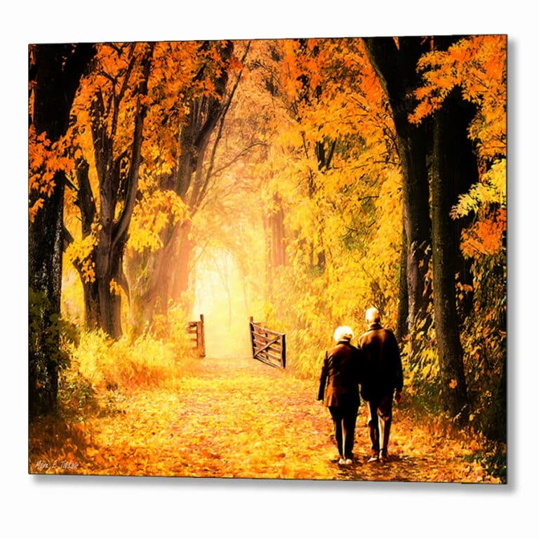 Woodland Path – Fall Foliage Metal Print